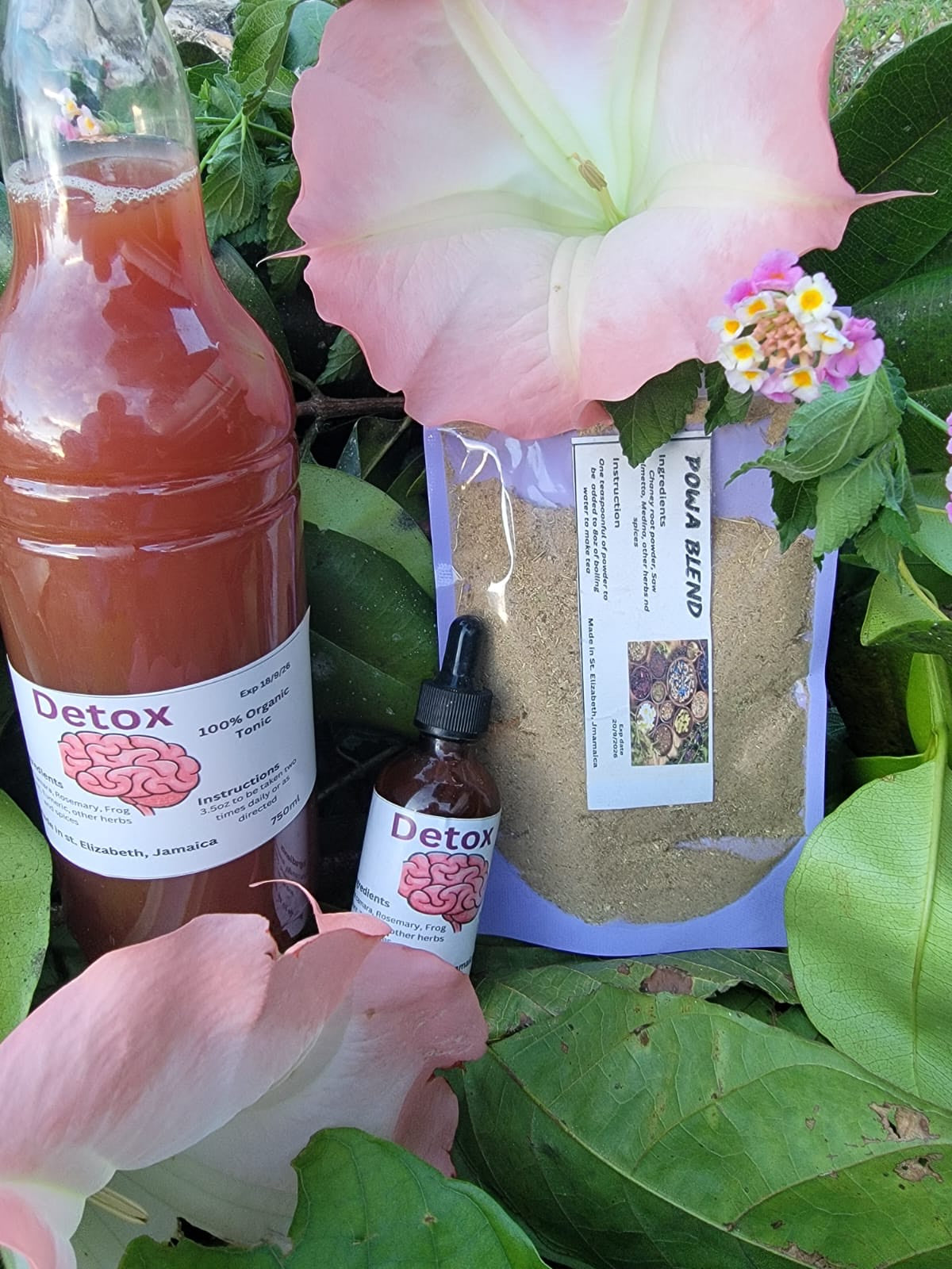Brain Power Herbs